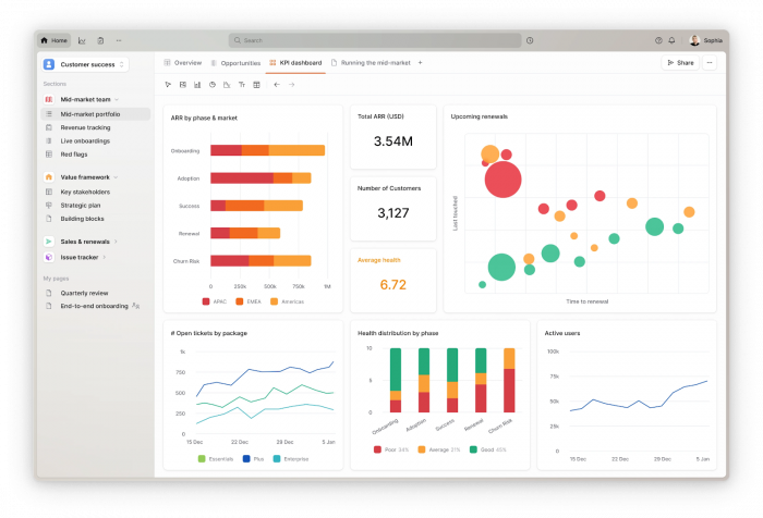 Planhat interface with KPI dashboard