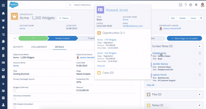 Salesforce interface