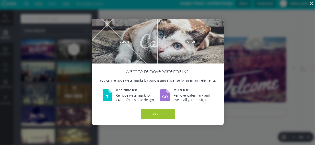 canva premium feature prompt